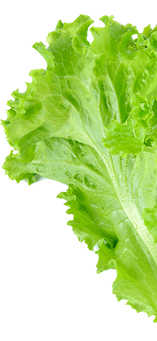 Restaurant foods Simsbury, CT